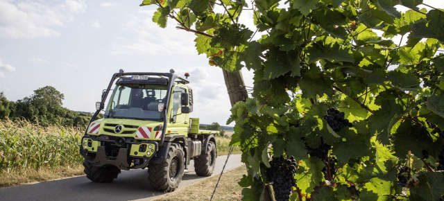 Mercedes Unimog & Fuso at work: Zwei für alle(s): Unimog und Fuso Canter packen es im Garten- und Landschaftsbau an