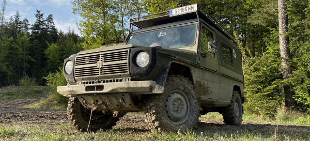 S-TEC lädt zum Offroad-Event für G-Klassen, Puchs, Pinzgauer und Haflinger: Himmel oder Hölle? So war die Hellsklamm 2023