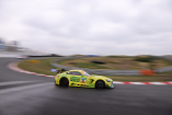 Die MANN-FILTER Mamba vor dem GT Masters-Rennen in Zandvoort: Schlangen-Alarm im Urlaubsparadies