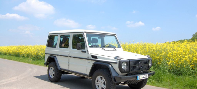 Test: Ein G für Profis - der Mercedes G Professional  280 CDI : Alle reden von Retro - das Mercedes G-Modell macht einfach weiter! 