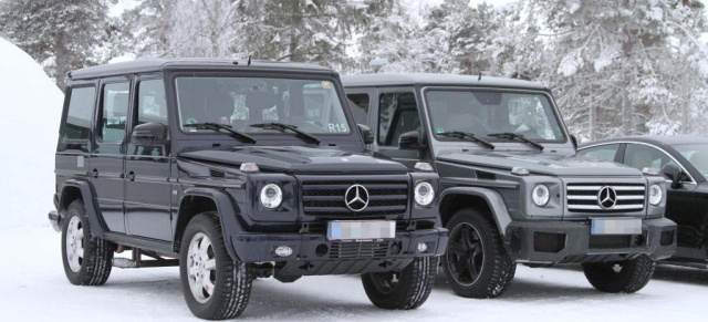 Erlkönig erwischt: aktuelle Bilder vom Mercedes G63 AMG: Die modellgepflegte G-Klasse von AMG  kam ungetarnt vor die Kamera  