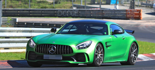 Mercedes-AMG Erlkönig erwischt: Star-Spy-Shot Premiere: Straßenversion des AMG GT4