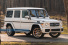 Sterne unterm Hammer: Amelia Island Auction: Versteigerung: Mercedes-AMG G65 mit Bi-Turbo und V12-Power