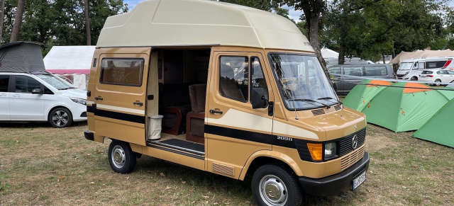 Ein früher Entdecker: Campen wie vor 40 Jahren: Mercedes 209 D Marco Polo