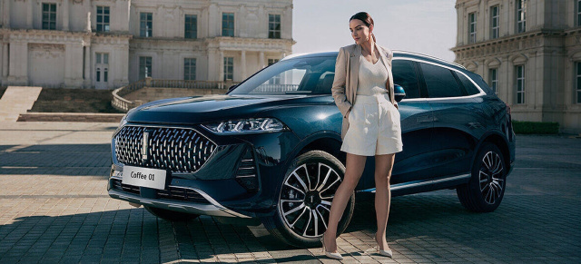 China-Automobil-Report 2025: Marktverschiebung in China: Nationale Hersteller setzen sich an die Spitze